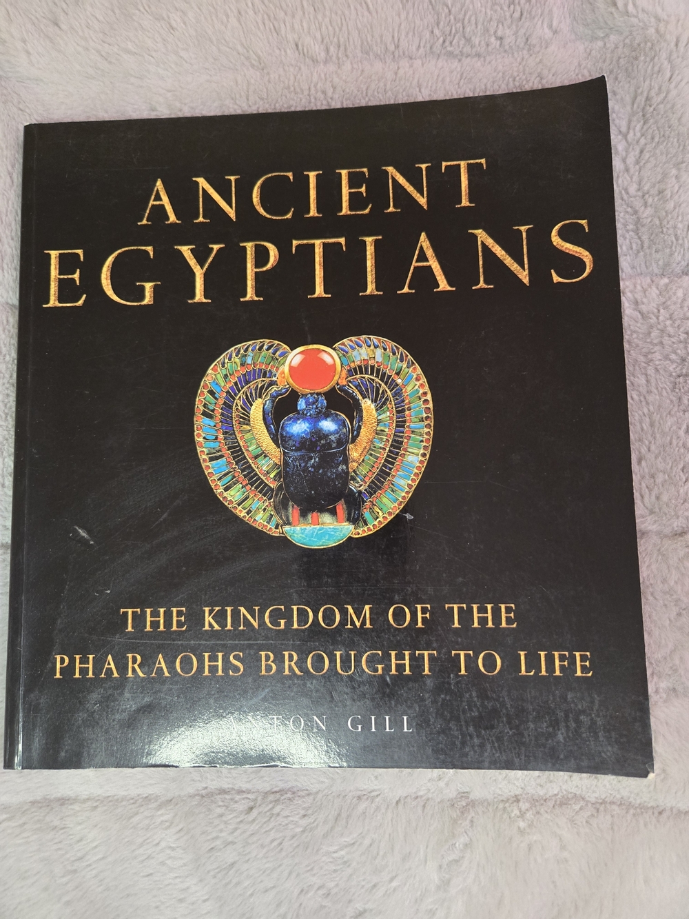 Ancient Egyptians Historical Book